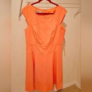 A Beautiful, Peach, Structured Dress